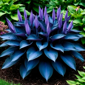 Хоста Сикрет Гров купить по цене от 570р. в интернет-магазине «Посадика» с доставкой почтой в в Москве и по всей России – [изображение №1].